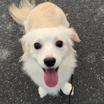 幸太（こうた）